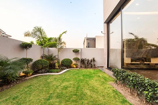 ¿Cómo cuidar el jardín de tu casa?