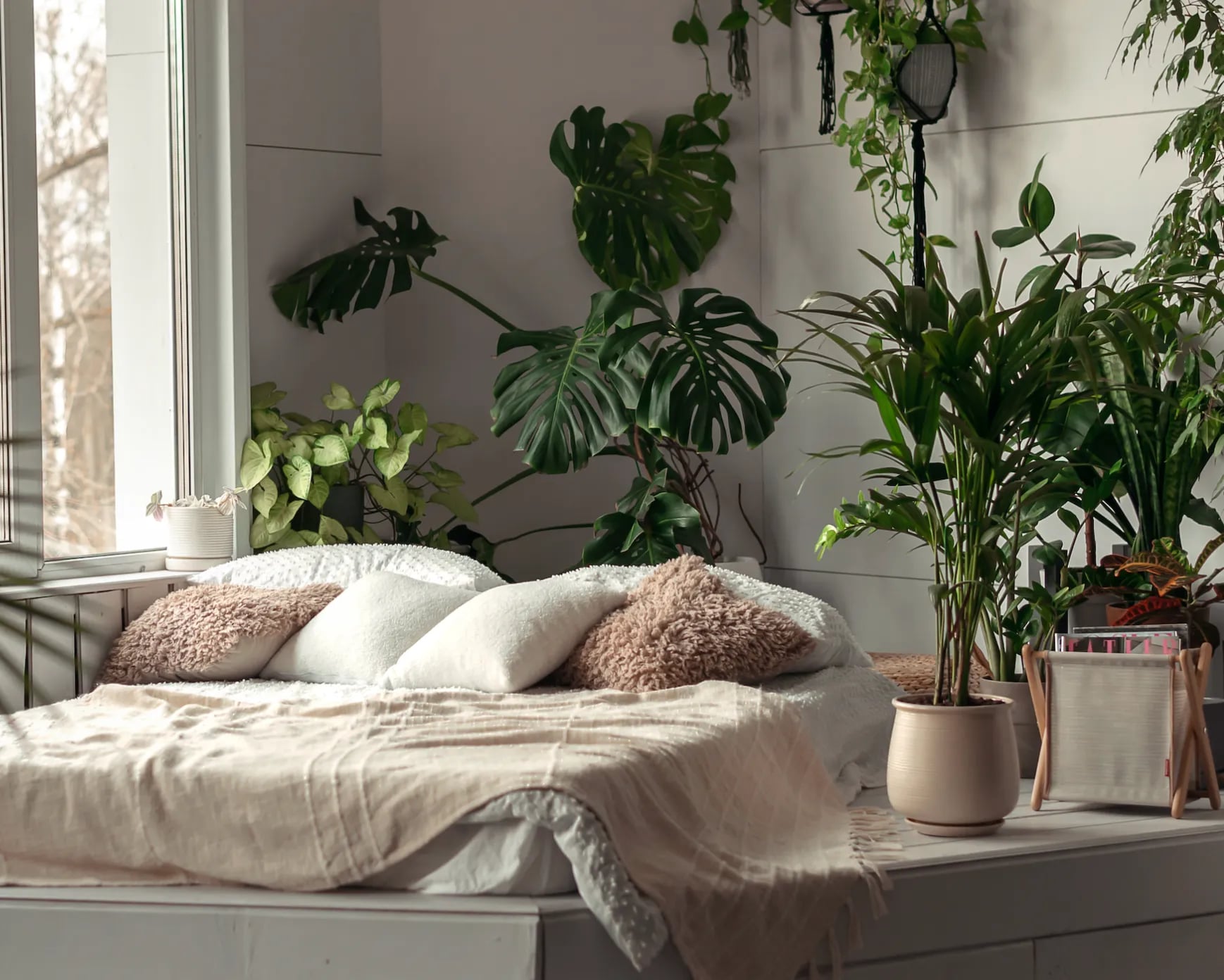 Plantas recomendables para tu dormitorio 