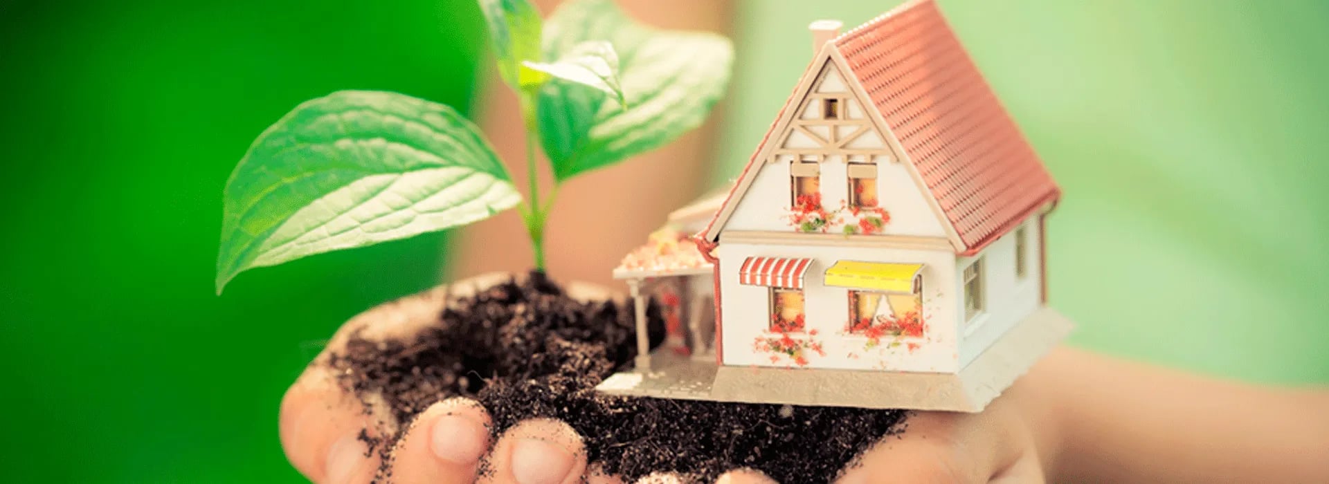 Casas ecológicas, vivir en armonía con la naturaleza