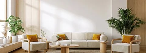 ¿Cómo cuidar las plantas en el interior de tu casa?