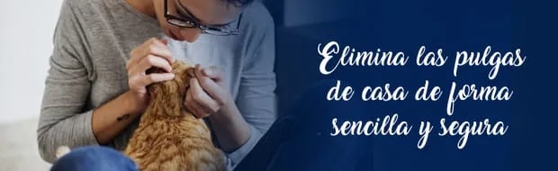 ELIMINA LAS PULGAS DE CASA DE FORMA SENCILLA Y SEGURA